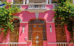 Casa Rosa - Alma Hotels
